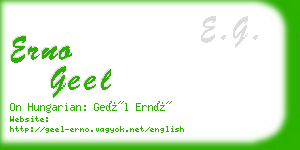 erno geel business card